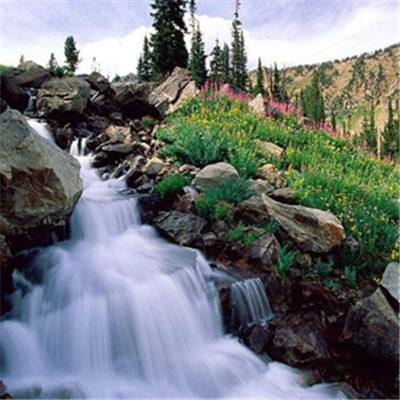 博鱼(boyu)·体育手机app下载