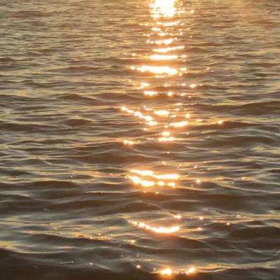 Bsports必一网页版登录